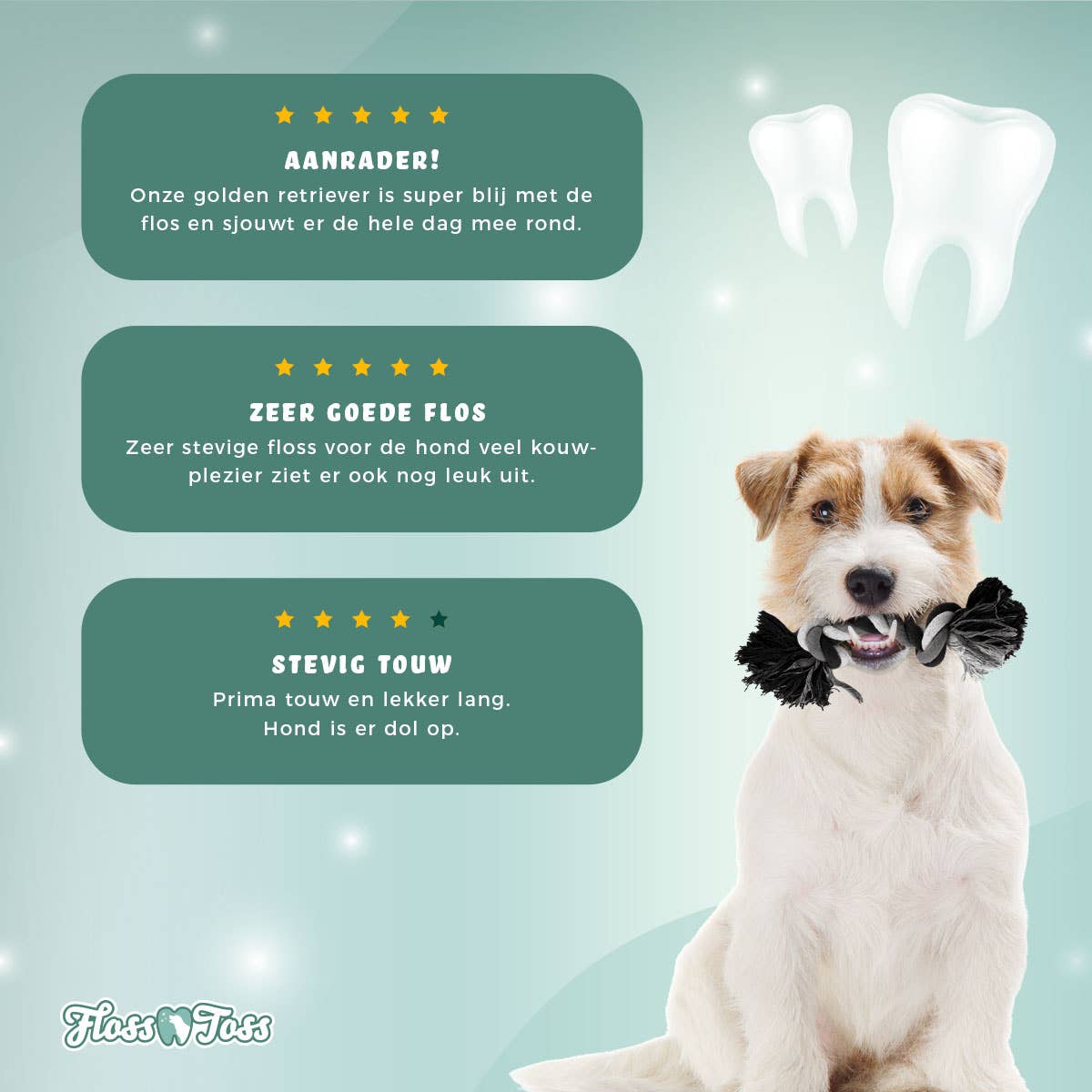 Floss Toss Dental Rep 2 Knutar 30 cm