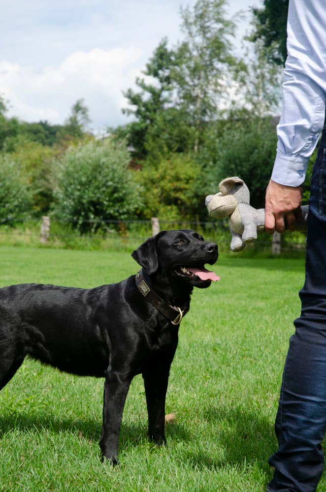 Landhund Oliver av återvunnen plast