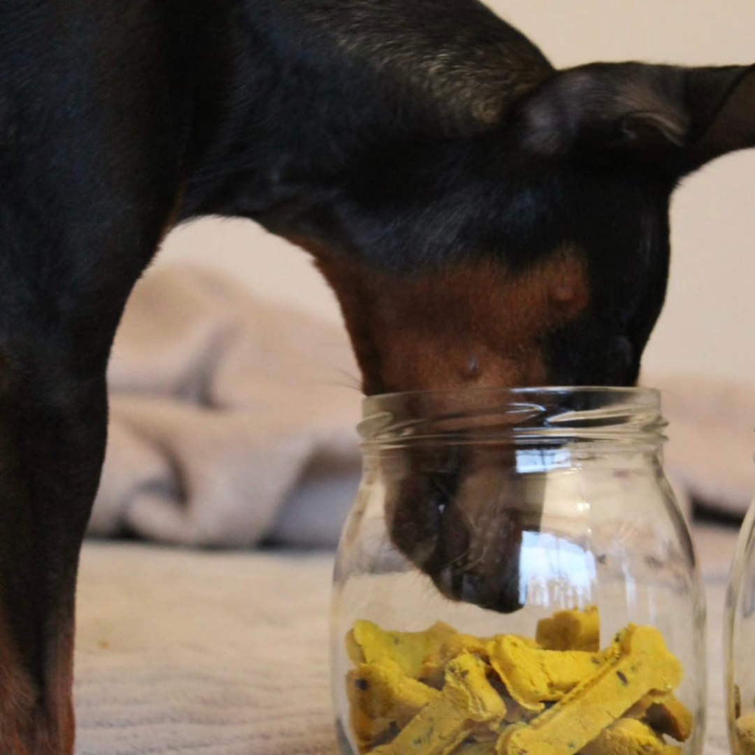 Sintra Bliss - Naturliga hundgodisar med superfoods