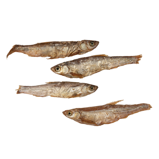 Gone Fishing - Lufttorkad fisk