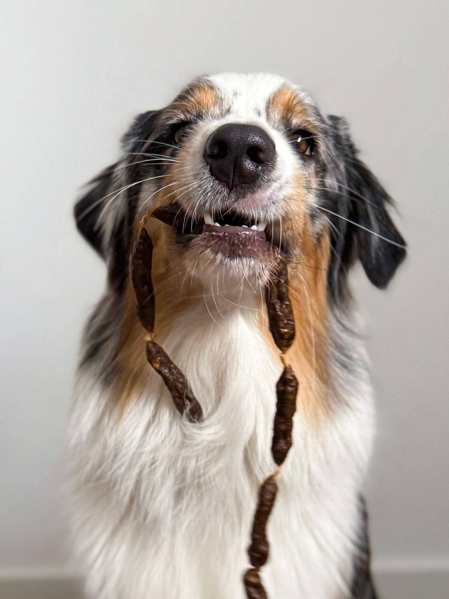 Turkisk salami - Hundgodis