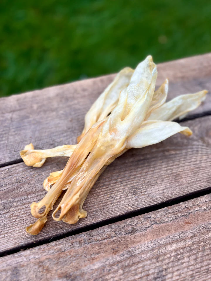 Kaninöron utan päls