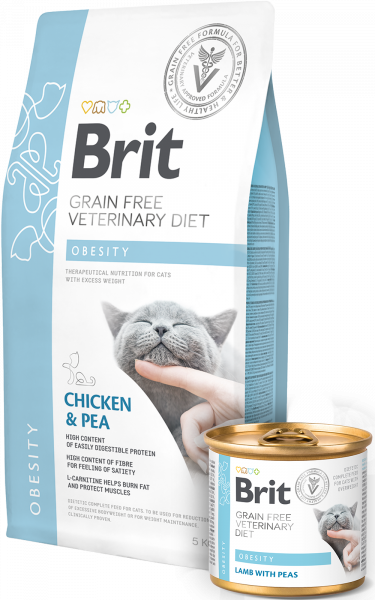 Brit care veterinary Diet Obesity