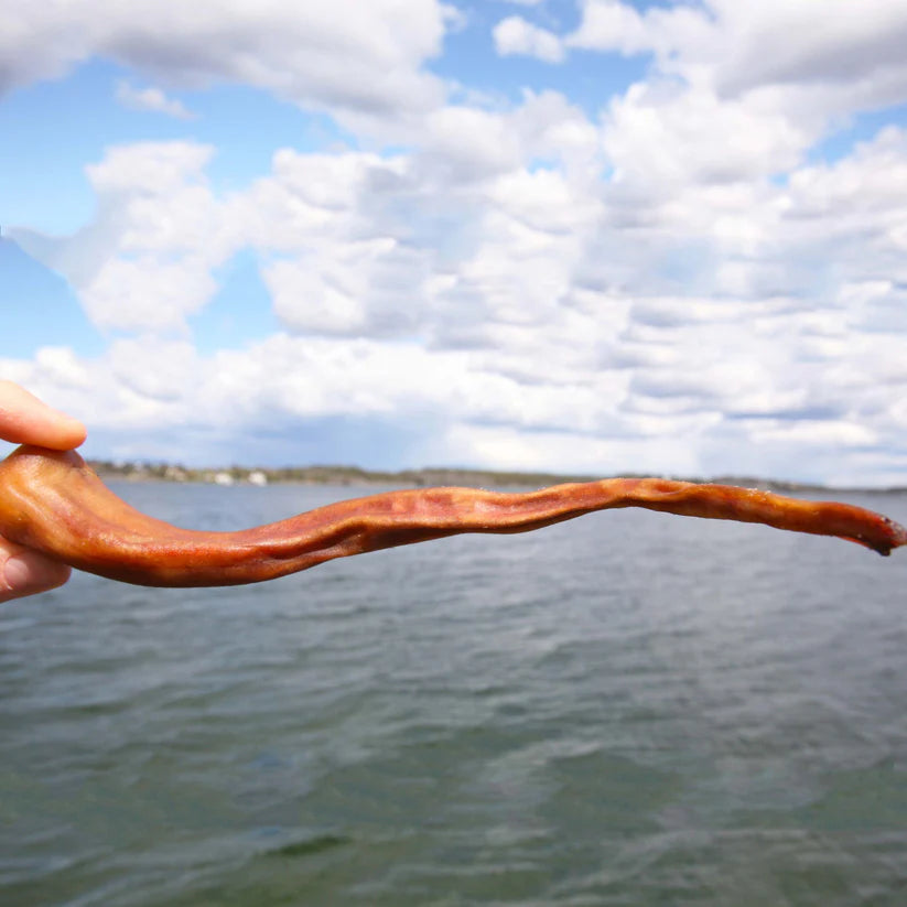 Svensk grisknorr från Tassafritt