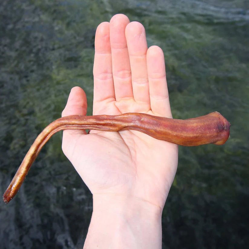 Svensk grisknorr från Tassafritt