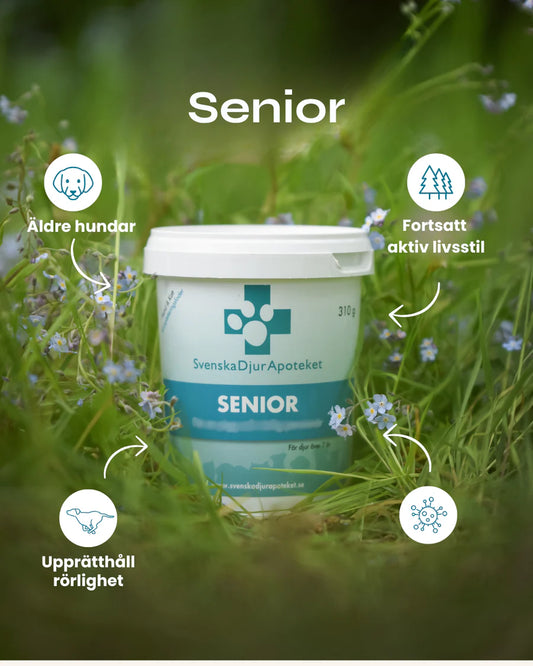 Senior Pulver 140/310g