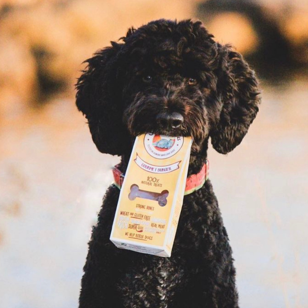 Gourmet Burger – Naturliga hundsnacks med nyskuret fläskkött