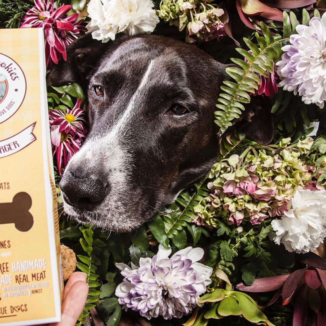 Gourmet Burger – Naturliga hundsnacks med nyskuret fläskkött
