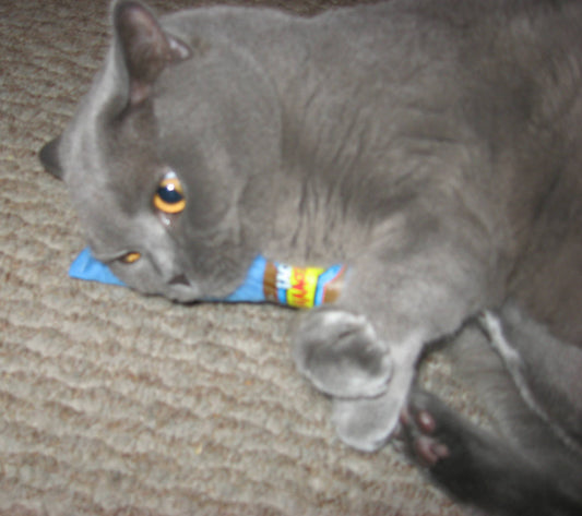 Yeowww "Its A Boy" Blå Cigarr Singlar