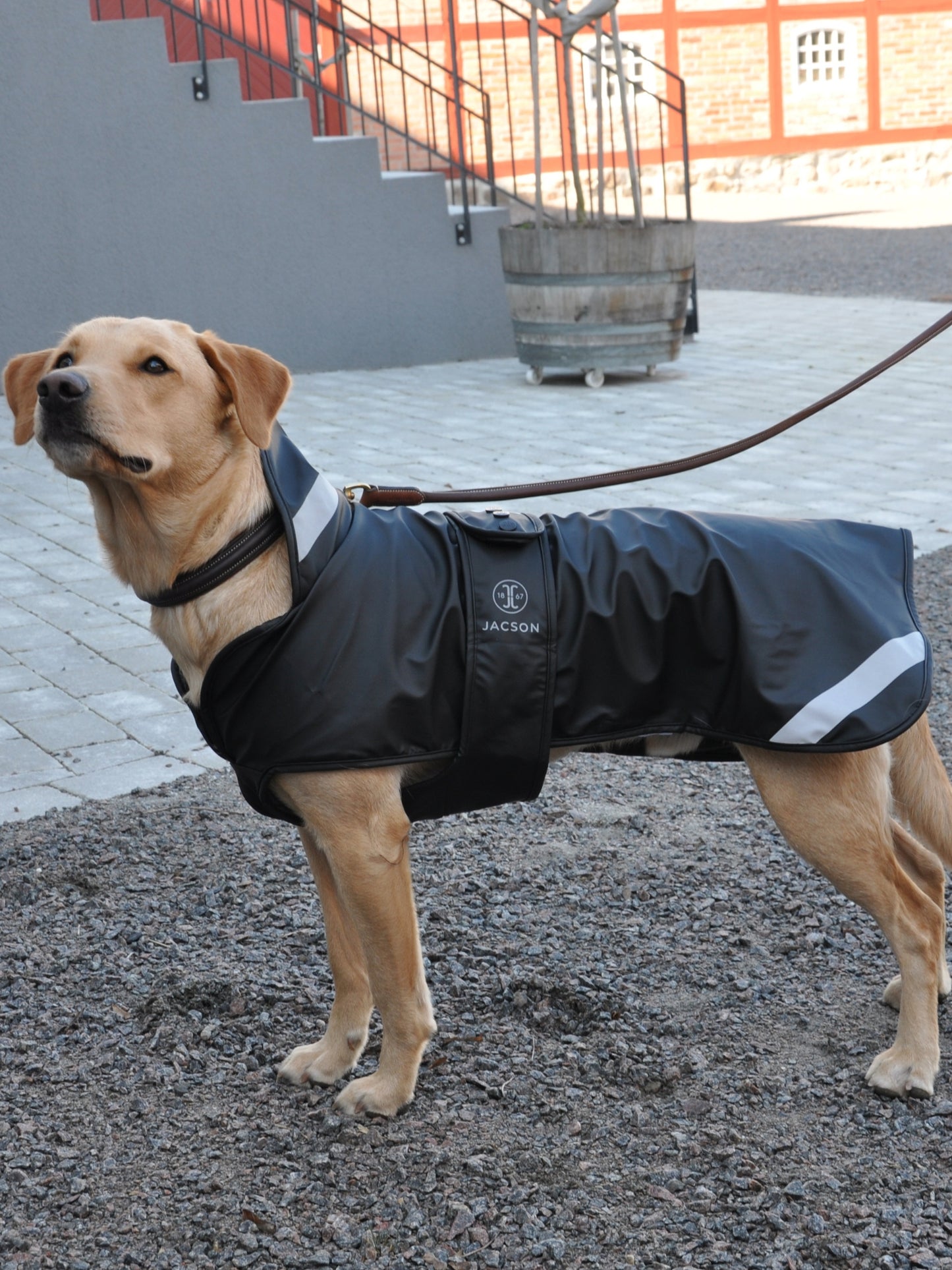 Regntäcke Jacson svart