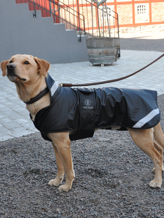 Regntäcke Jacson svart