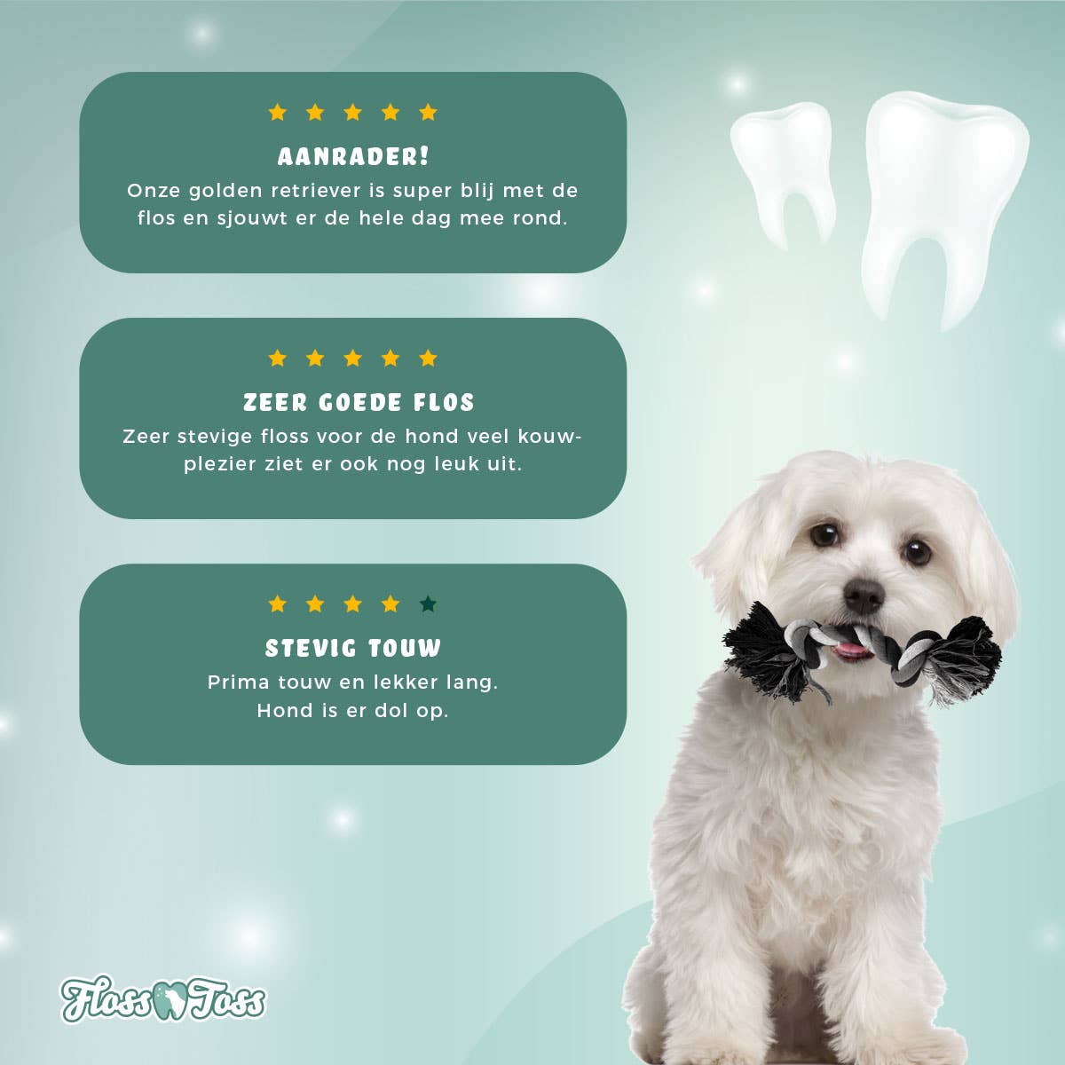 Floss Toss Dental Rep 2 Knutar 20 cm