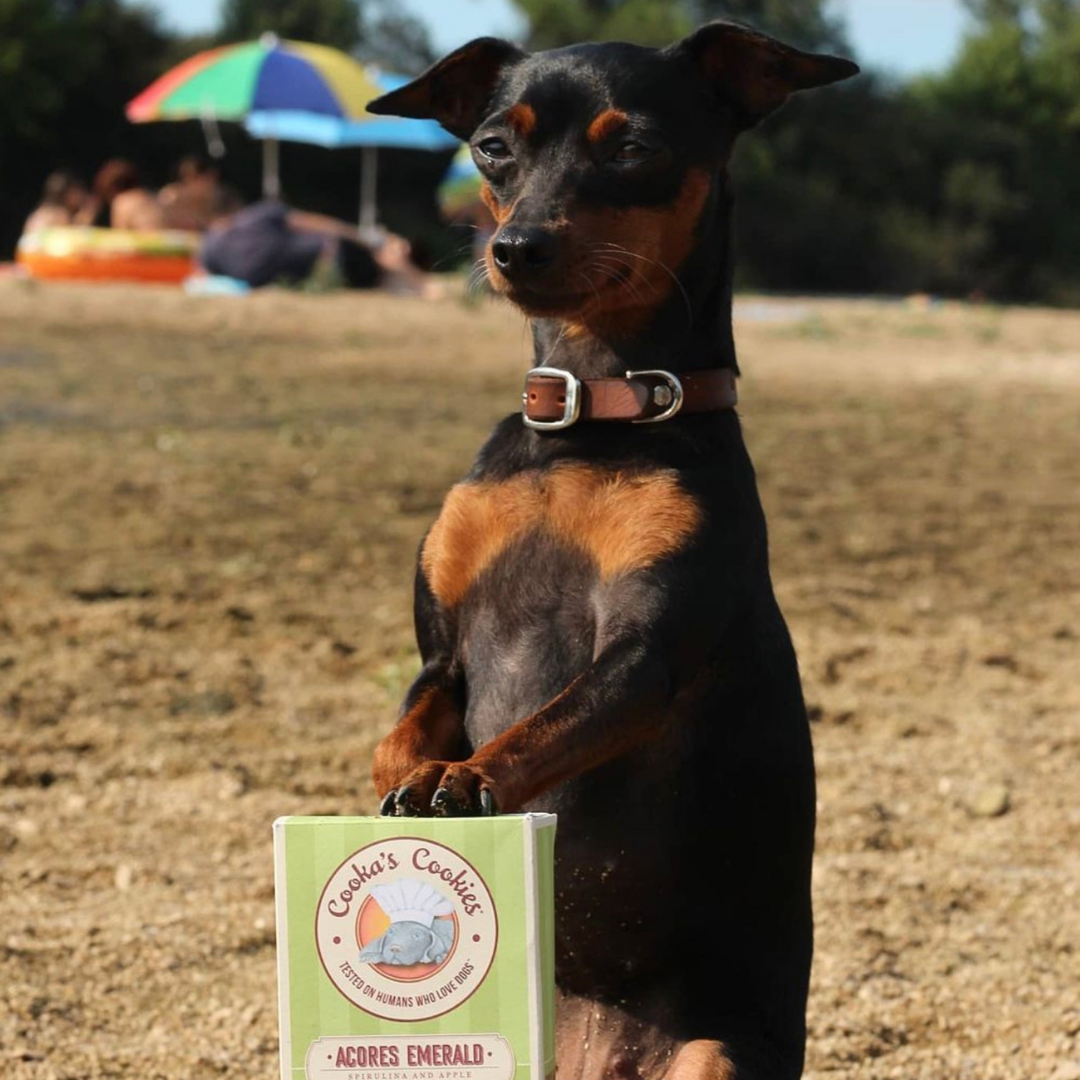 Porto Spirit - Naturliga hundgodisar med superfoods