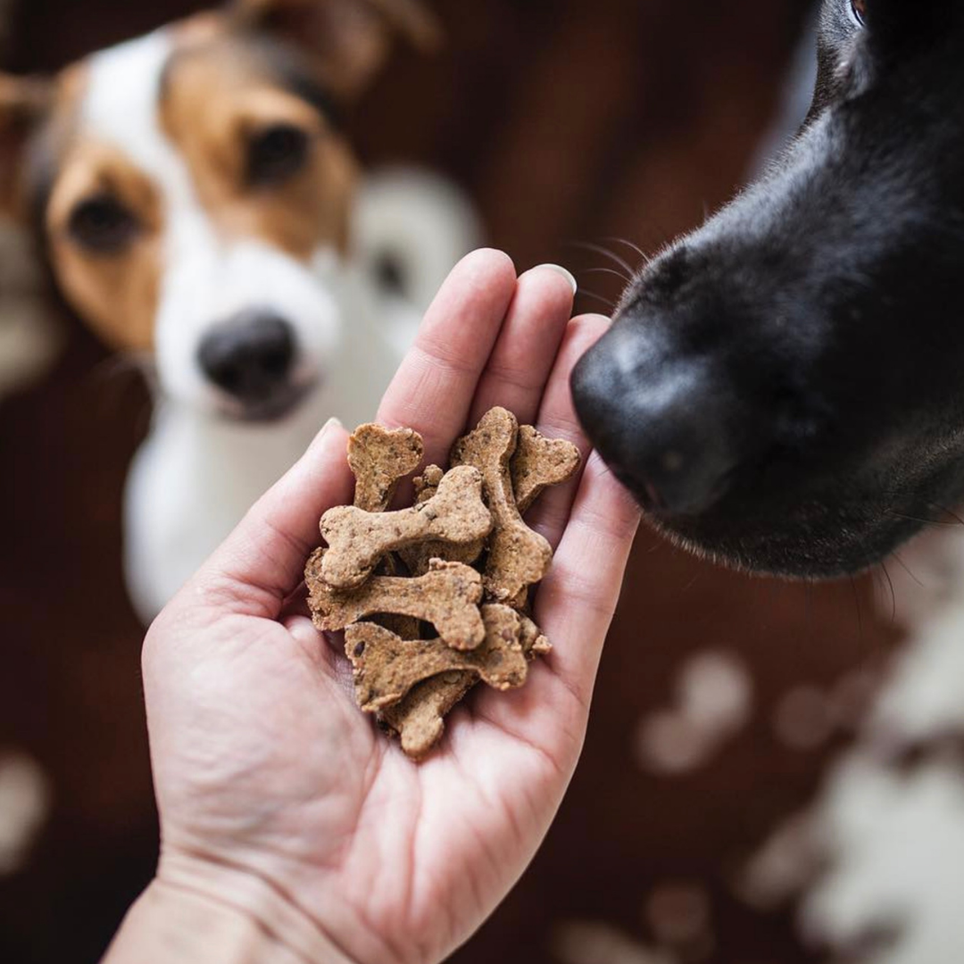 Beef Bones – Naturliga hundgodisar med nötkött