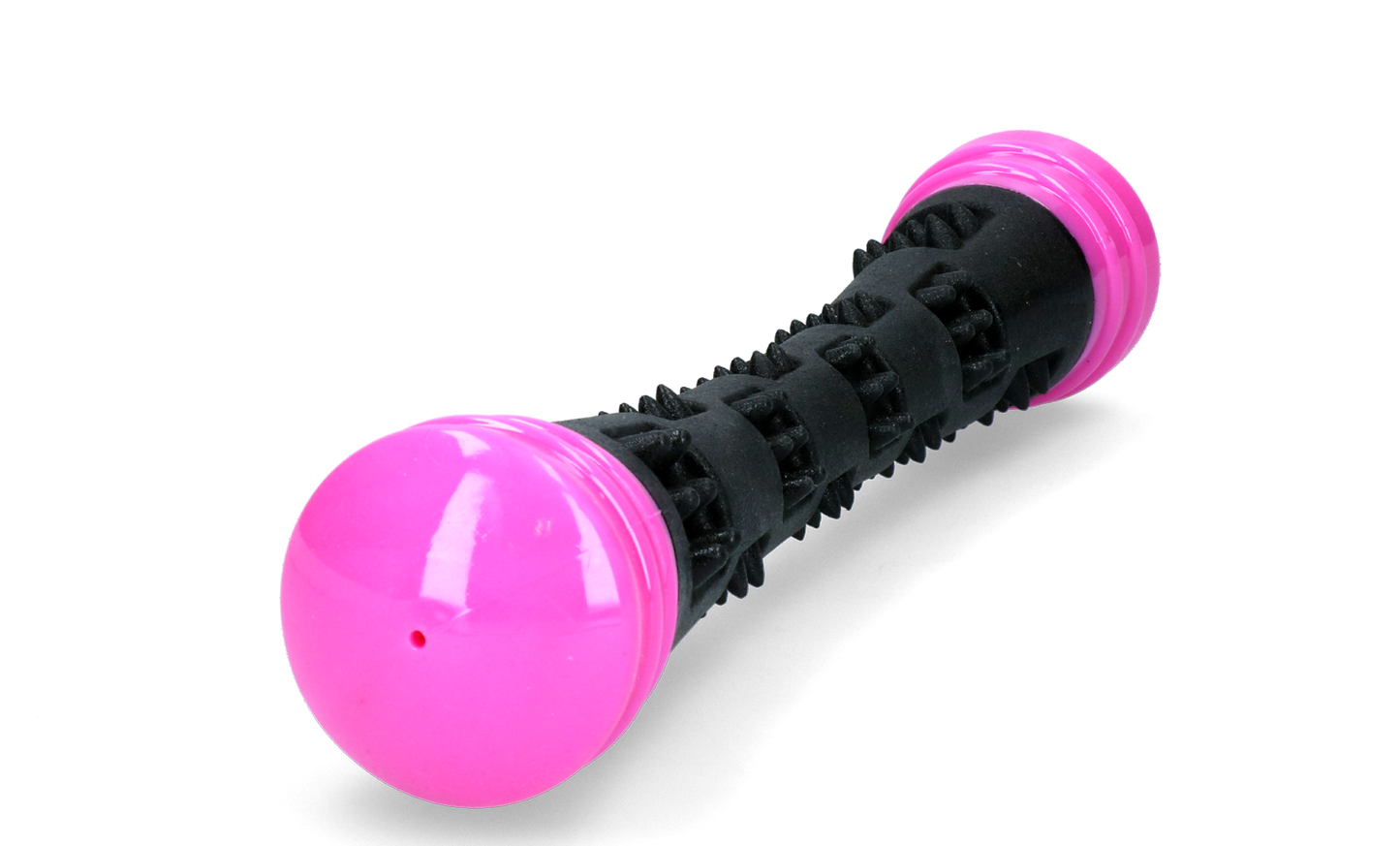 Dog Comets meteor Kastpinne Rosa L