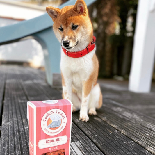 Lisboa Beet - Naturliga hundgodisar med superfoods