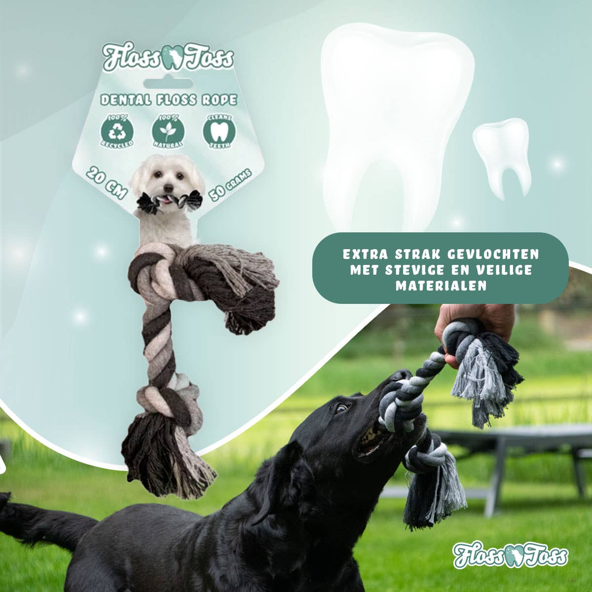 Floss Toss Dental Rep 2 Knutar 20 cm