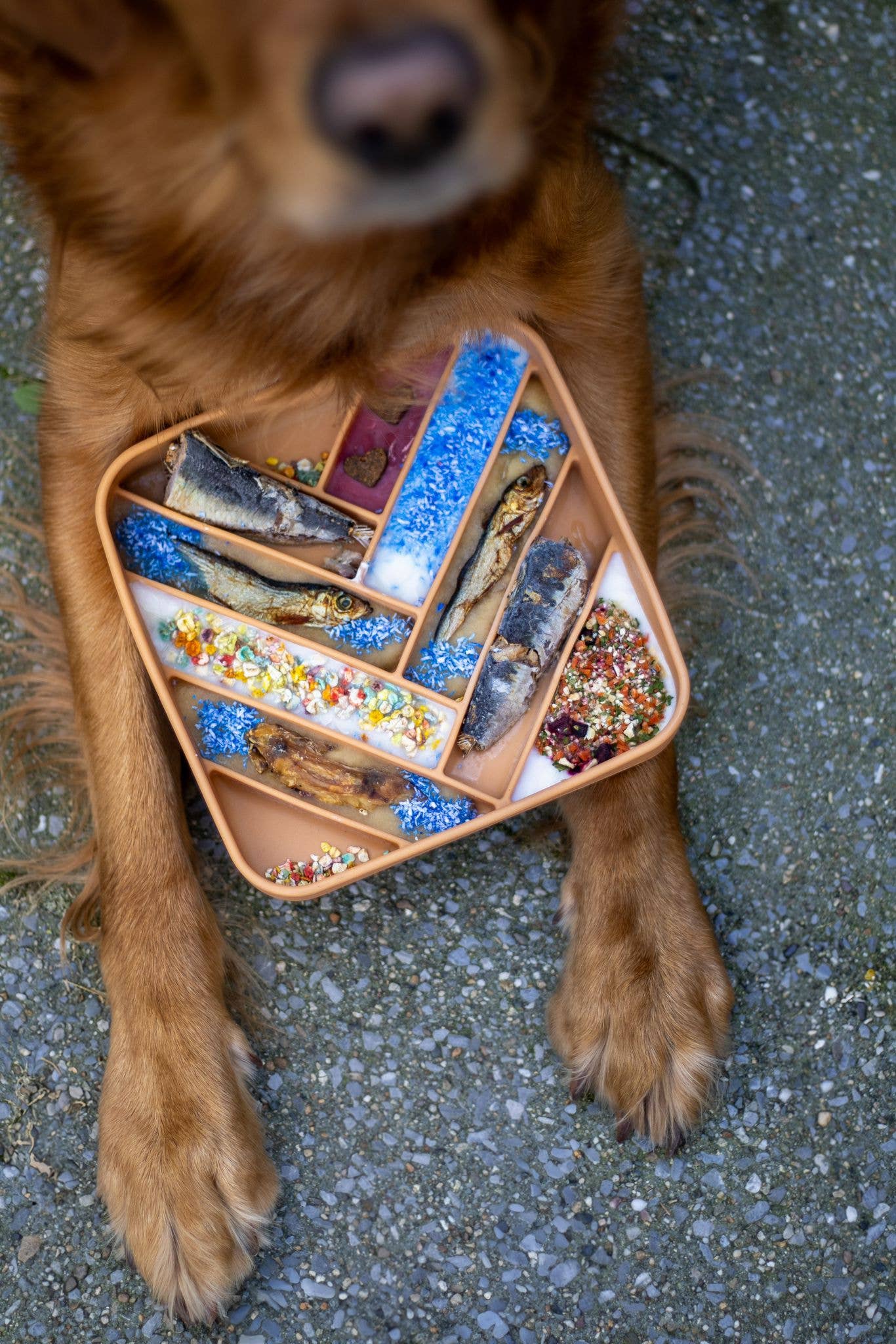 Mermaid Dust - Måltidstopping för katter och hundar