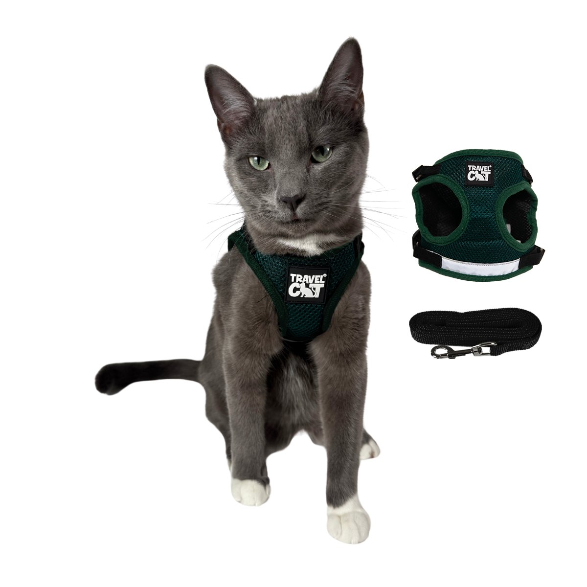 The Emerald Explorer - Grönt kattlexhalsband och koppel set