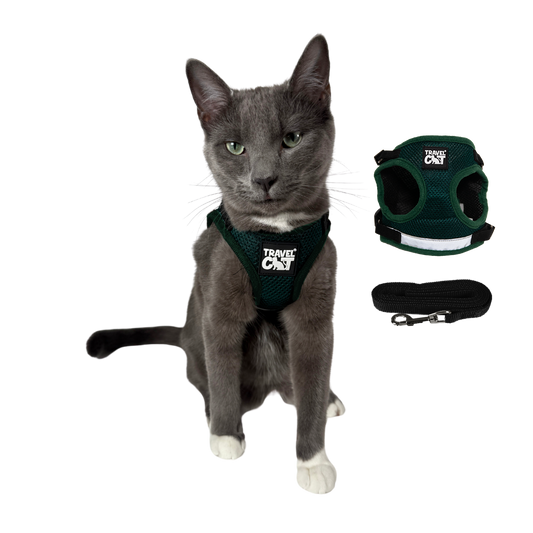 The Emerald Explorer - Grönt kattlexhalsband och koppel set