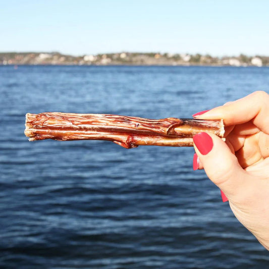 Svenskt Hundgodis Tjurmuskel 10 cm