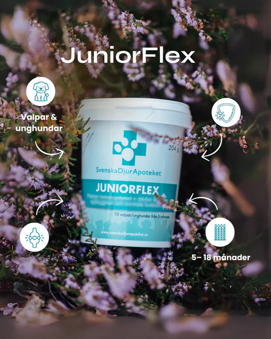 Juniorflex 204g