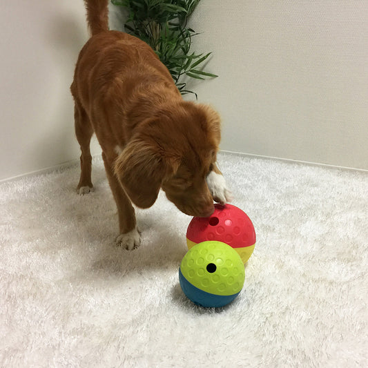 Tumble 1 Turkos S – aktiveringsboll för hundar